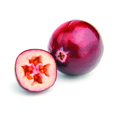 クランベリーオイル